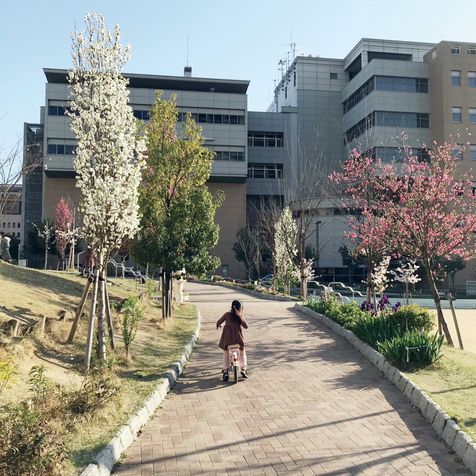 阿倍野再開発２号公園02